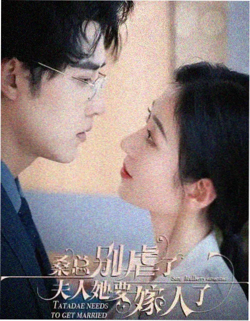 高分美剧 最后生还者 海报